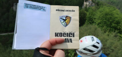 Kočičí hlava